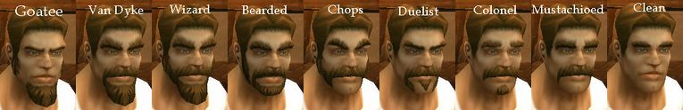 Human Male Facial Hair.jpg