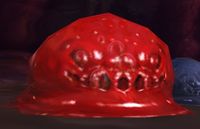 Image of Crimson Globule