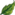 Herbalism