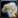 Ability mount goldengryphon.png