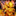 IconSmall Flamewaker.gif
