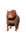 Squomble.png