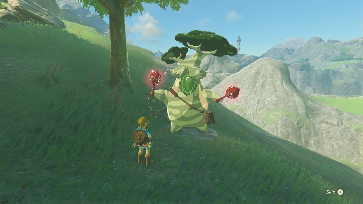 The Priceless Maracas Zelda Wiki