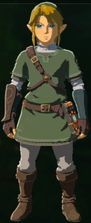 Hero of Twilight Set