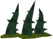 VineWW.png