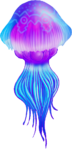 OoT Biri Artwork.png