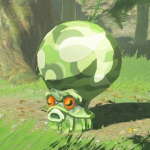 BotW Hyrule Compendium Forest Octorok.png