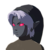 BotW Dark Hood Icon.png