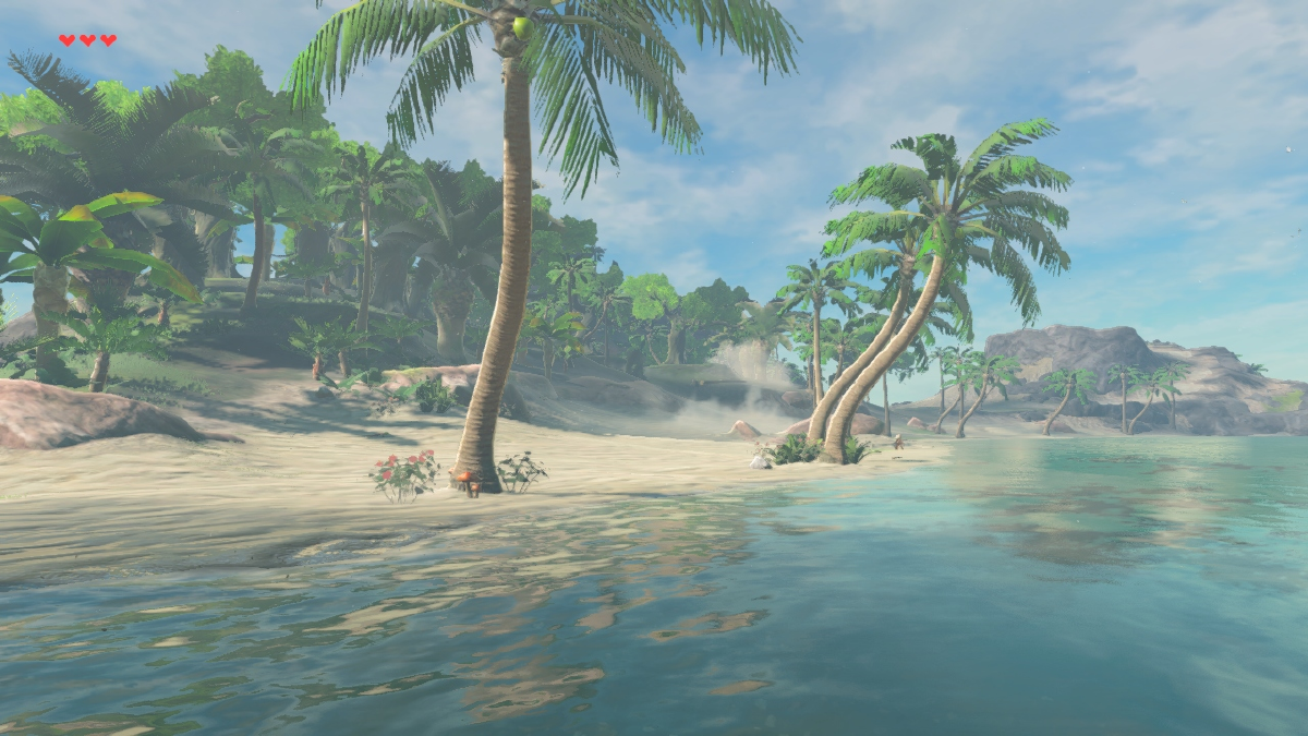 Toronbo Beach Zelda Wiki