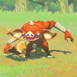 BotW Hyrule Compendium Bokoblin.png